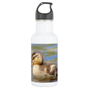 Mallard Duckling 532 Ml Water Bottle
