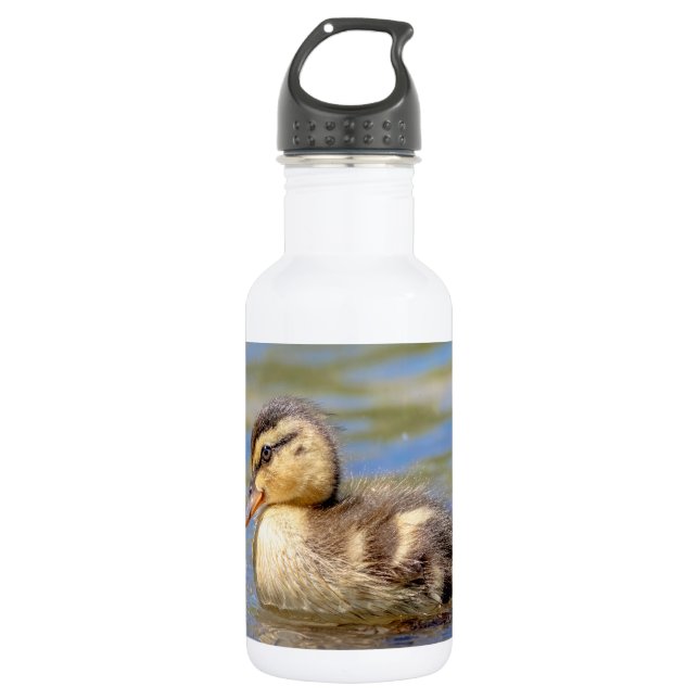 Mallard Duckling 532 Ml Water Bottle (Front)