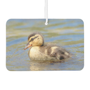 Mallard Duckling Car Air Freshener