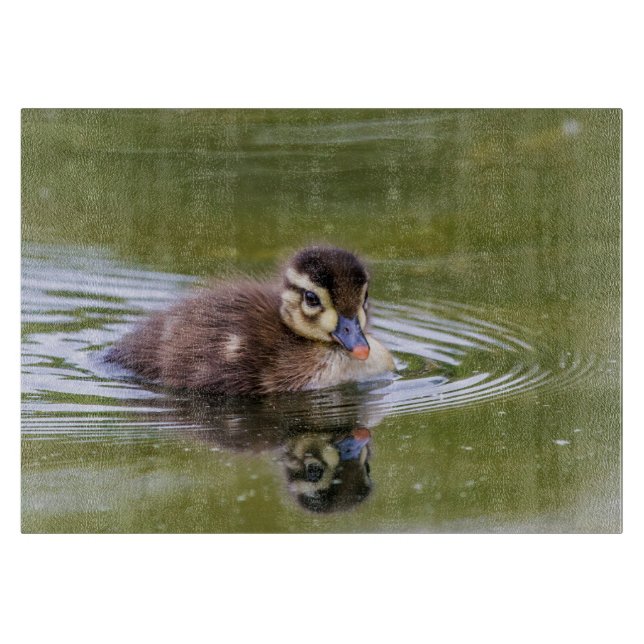 Mallard Duckling Cutting Board (Front)