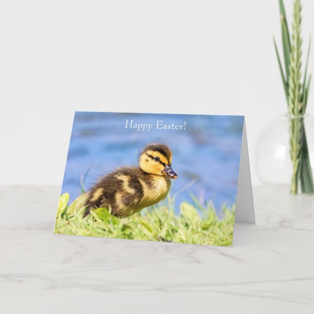 Mallard Duckling Holiday Card (Front)