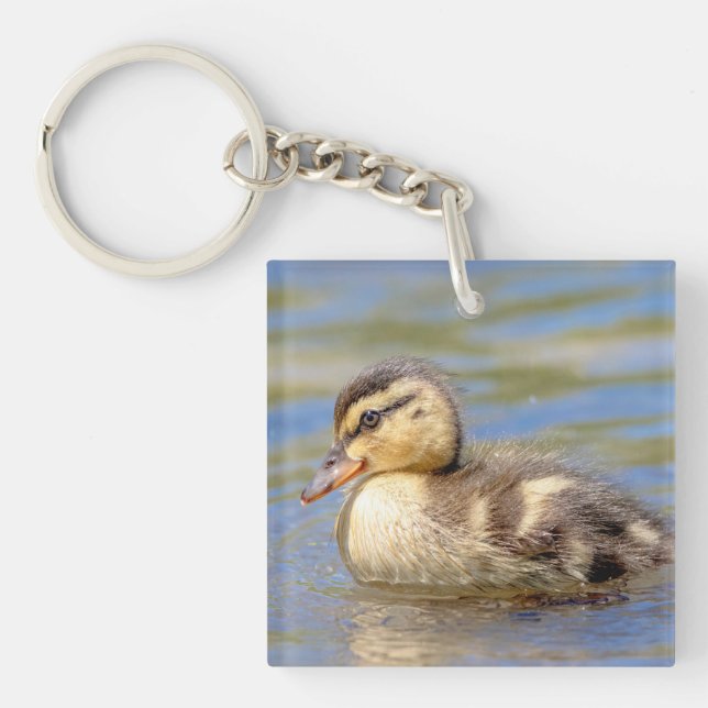 Mallard Duckling Key Ring (Front)