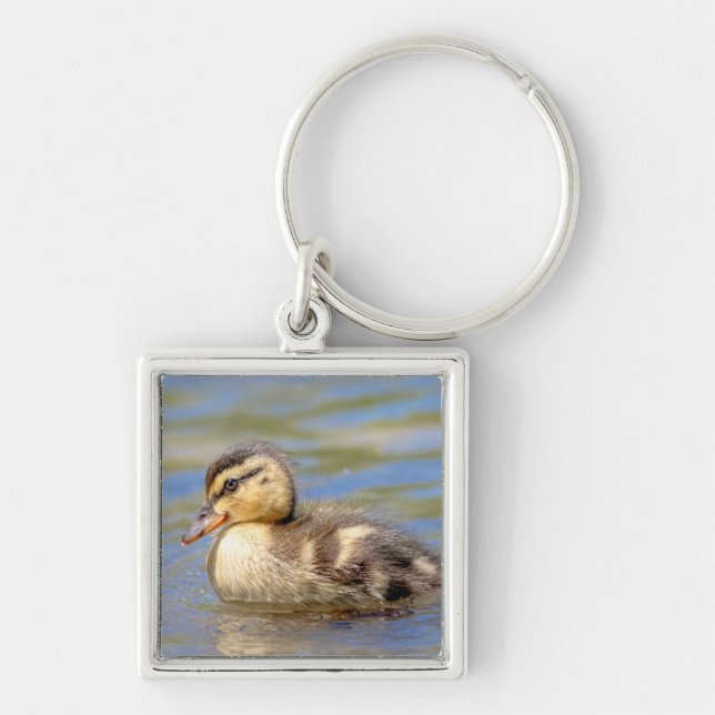 Mallard Duckling Key Ring (Front)