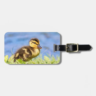 Mallard Duckling Luggage Tag