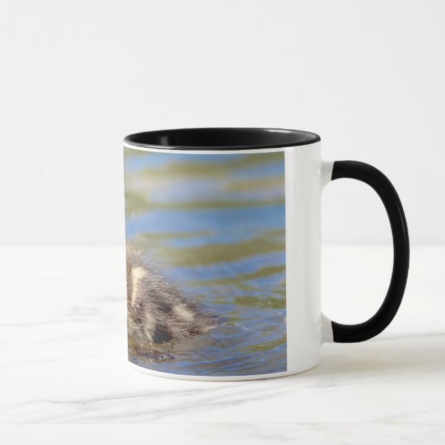Mallard Duckling Mug (Right)