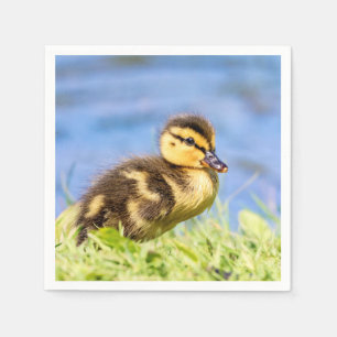 Mallard Duckling Napkin