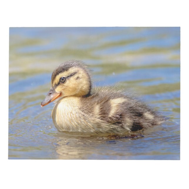 Mallard Duckling Notepad (Front)