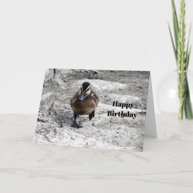 Mallard Duckling Photo Birthday Card (Front)