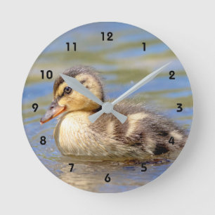 Mallard Duckling Round Clock