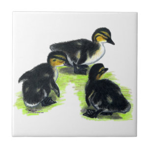 Mallard Ducklings Ceramic Tile