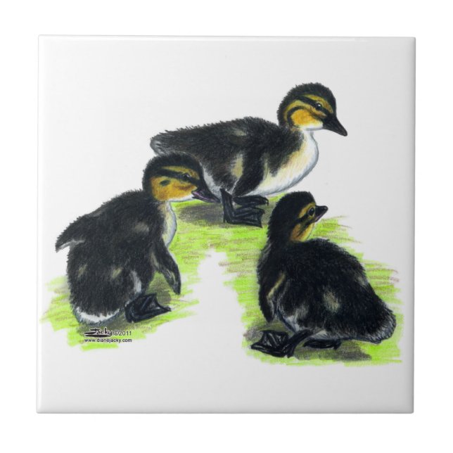 Mallard Ducklings Ceramic Tile (Front)