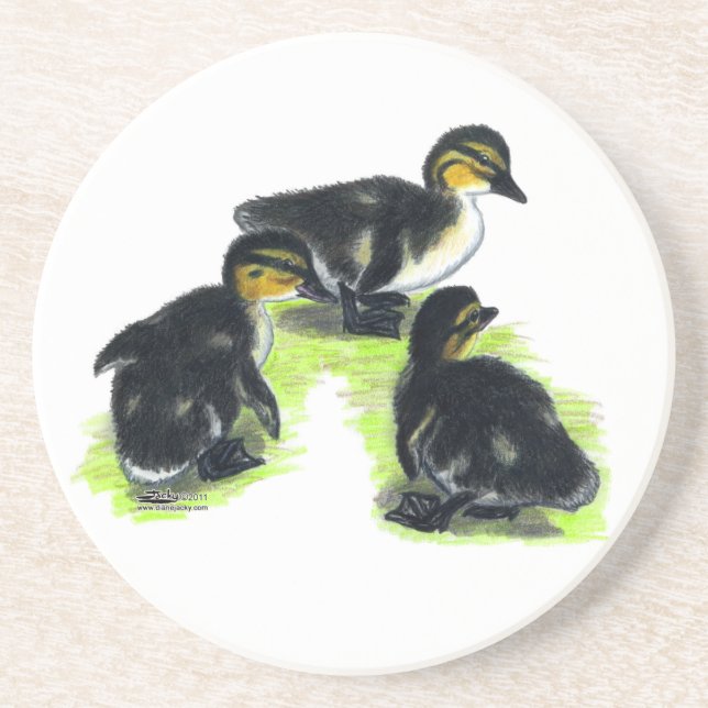 Mallard Ducklings Coaster (Front)