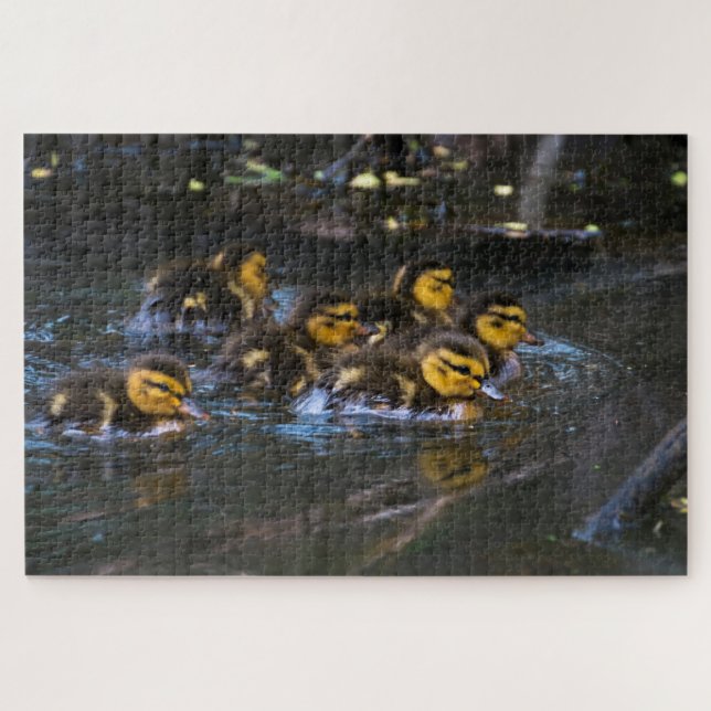 Mallard Ducklings Jigsaw Puzzle (Horizontal)