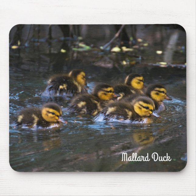 Mallard Ducklings Mouse Pad (Front)