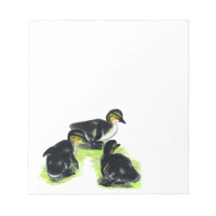 Mallard Ducklings Notepad
