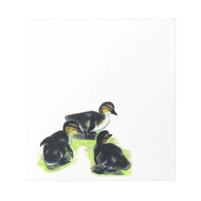 Mallard Ducklings Notepad (Front)