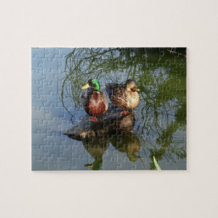 Mallard Ducks #2 Jigsaw Puzzle