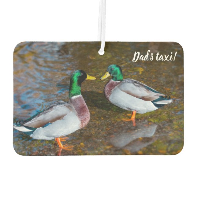 Mallard Ducks Air Freshener (Back)