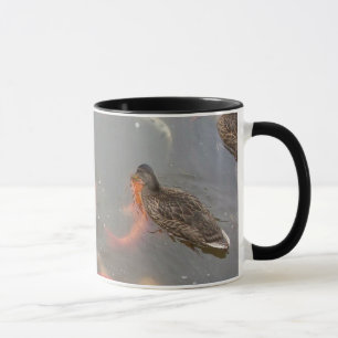 Mallard Ducks And Koi Fish Swimming Mug