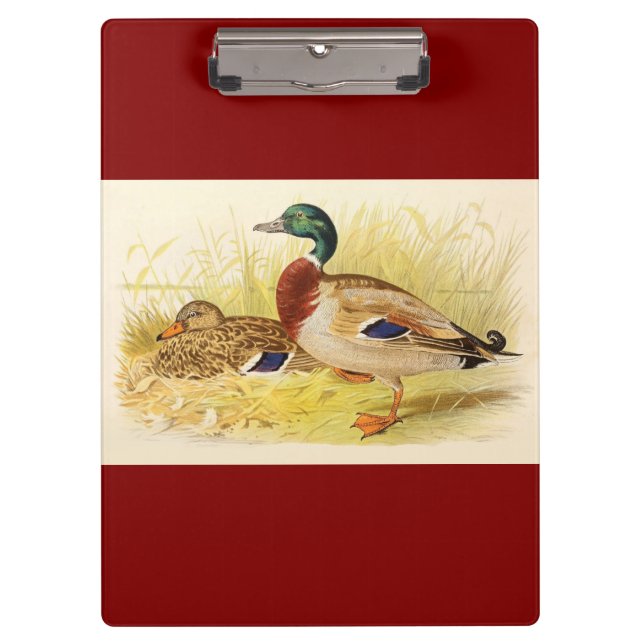 Mallard Ducks Clipboard (Front)