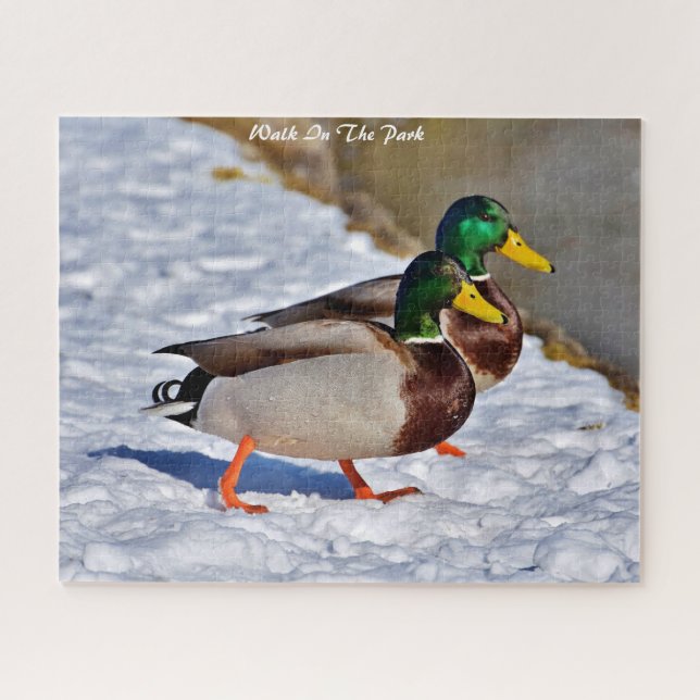 Mallard Ducks Departures Jigsaw Puzzle (Horizontal)