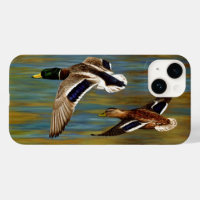 Mallard Ducks Flying Over Pond