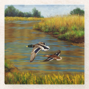 Mallard Ducks Flying Over Pond Glass Coaster