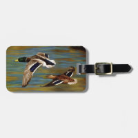 Mallard Ducks Flying Over Pond