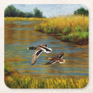 Mallard Ducks Flying Over Pond Square Paper Coaster