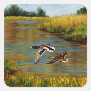 Mallard Ducks Flying Over Pond Square Sticker