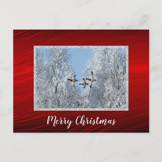 Mallard Ducks Flying Snow Photo Christmas Postcard (Front)