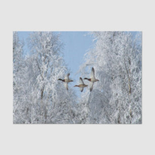Mallard Ducks Flying Snow Photo Tissue Paper