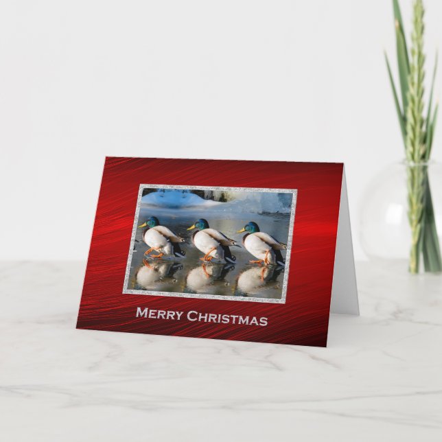 Mallard Ducks Ice Photo Christmas Holiday Card (Front)