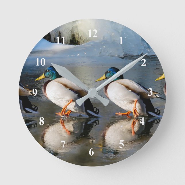 Mallard Ducks Ice Photo Round Clock (Front)