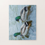 Mallard Ducks Jigsaw Puzzle<br><div class="desc">Originally a photograph of two Mallard Ducks n a pond that I processed to look like an oil painting. This design also comes on many other Zazzle products.</div>