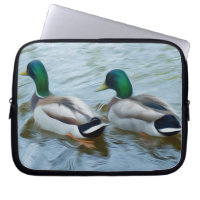 Mallard Ducks