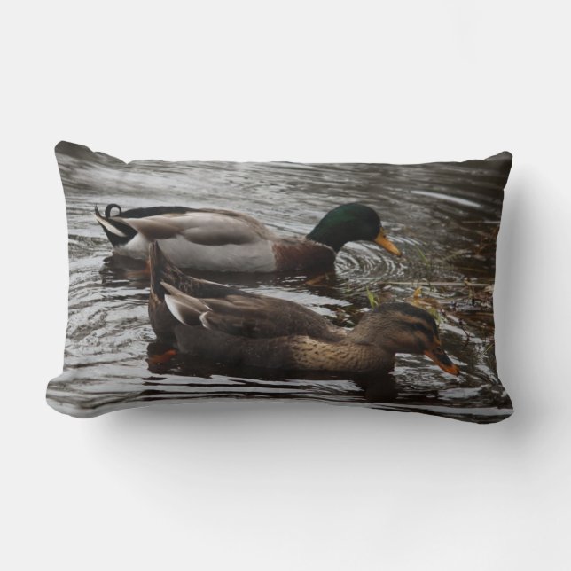 Mallard Ducks on a Pond Photo Lumbar Cushion (Front)
