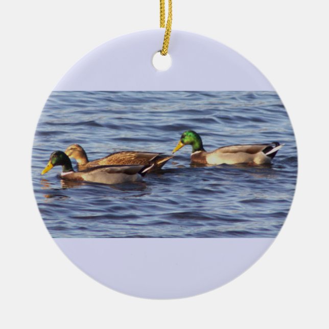 Mallard Ducks Photo Ornament  (Front)