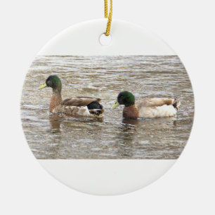 Mallard Ducks Photo Ornament
