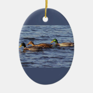 Mallard Ducks Photo Ornament