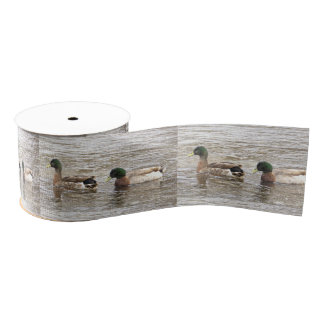 Mallard Ducks Photo Ribbon Grosgrain Ribbon