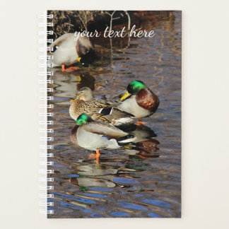 Mallard Ducks Planner