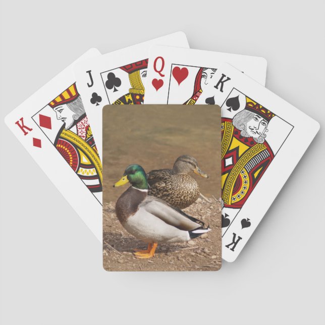 Mallard Ducks Playing Cards (Back)