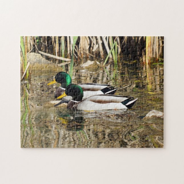 Mallard Ducks Puzzle (Horizontal)