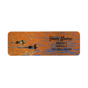 Mallard Ducks Reflection Address Label Return Address Label