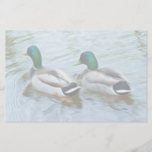 Mallard Ducks Stationery