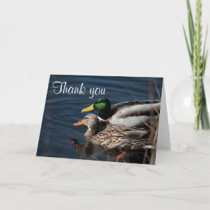 Mallard ducks thank you card