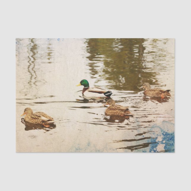 Mallard Ducks Tissue Paper (Front)