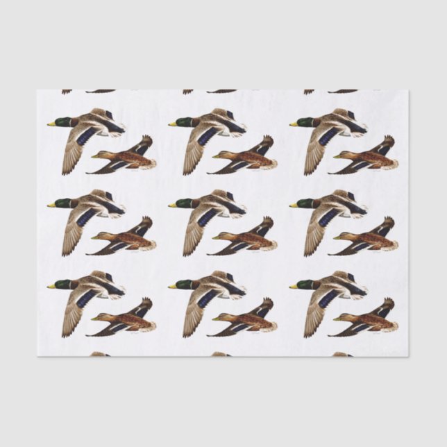 Mallard Ducks U-Pick Background Colour Tissue Paper (Front)