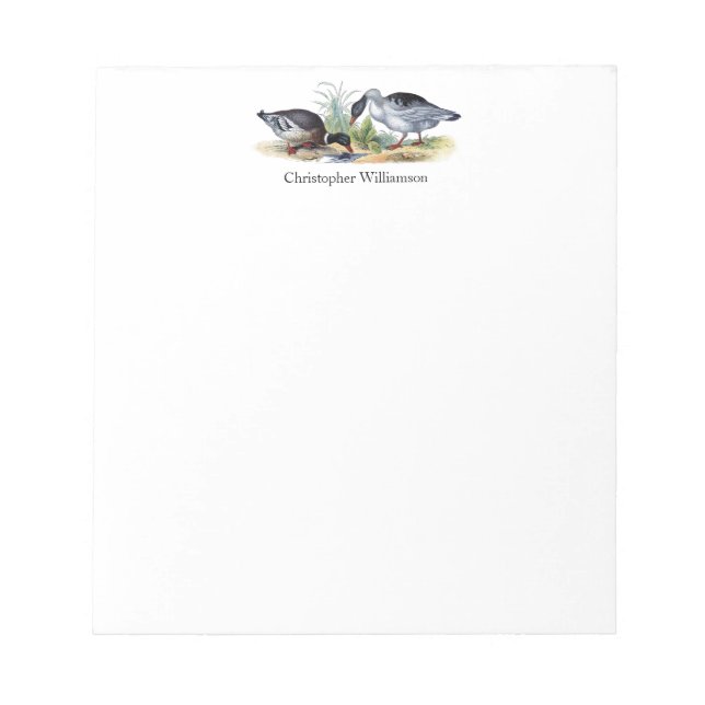 Mallard Ducks Vintage Birds Animals Personalised Notepad (Front)